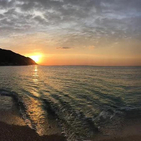 Leonardo * ماتيناتا